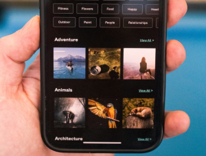 WSI Digital Path Blog Post (26)